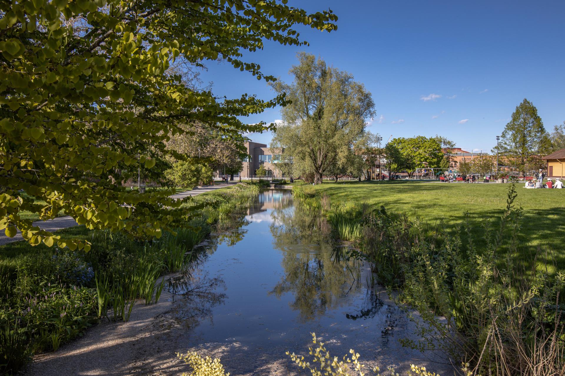 Rinmansparken, Eskilstuna