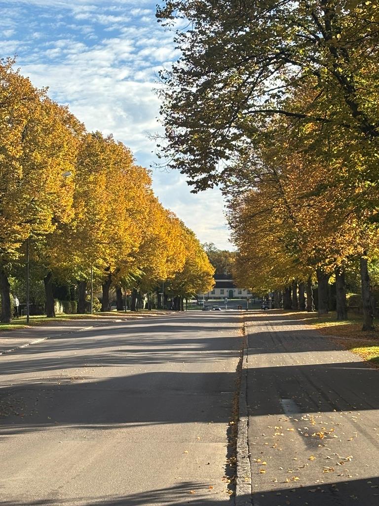 Djurgården, Eskilstuna