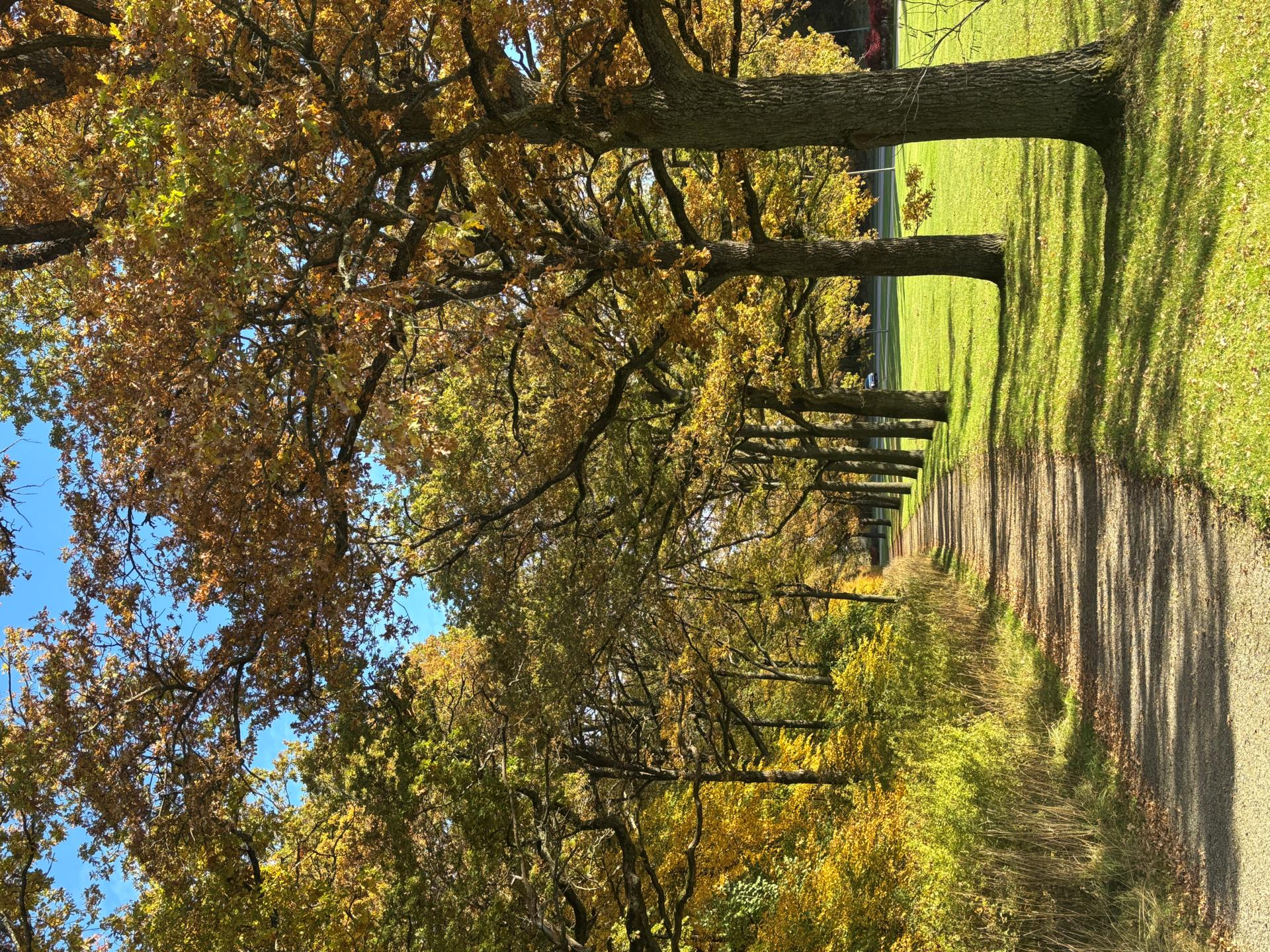 Djurgården, Eskilstuna